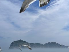 -海驴岛(荣成市)