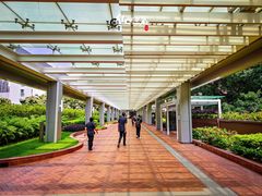 -香港大学