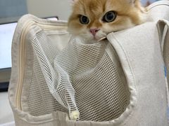 -佳雯宠物医院·皮肤科·内外科(春晓路分院)