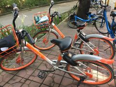 -梧桐山风景名胜区