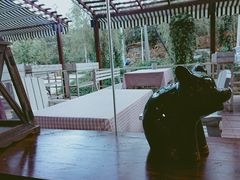 -Local泰莲庭(虹鳟鱼店)