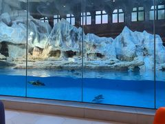 -帝企鹅自助餐厅•儿童岛•真企鹅(长隆企鹅酒店)