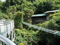 -海南槟榔谷黎苗文化旅游区