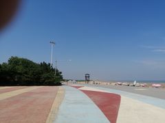 -日照海滨国家森林公园
