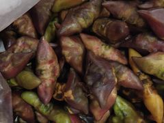 -龚家花园农家乐休闲别墅