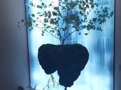 -宫七SPA·高端Massage(浦东大道店)