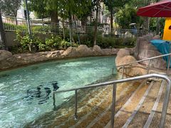 -新加坡水上探险乐园