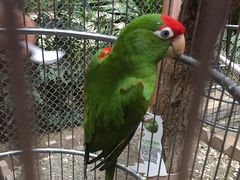 -南宫五洲植物乐园