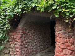 -呀路古热带植物园