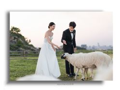 -花漾摄影优选工作室(东莞原创作品店)