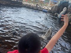 -华夏文旅海洋公园