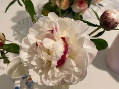 -三圣花乡旅游区