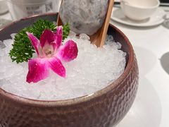 -烹然四季椰子鸡火锅(姚家园万象汇店)