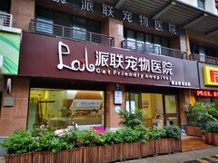 -派联宠物医院·24h·CT·异宠