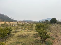 -南北湖风景区