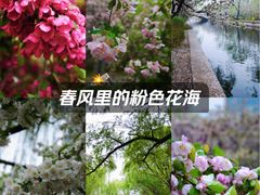 -元大都城垣遗址公园