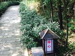 -汤山温泉房车营地 茶温泉