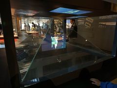 -盘龙城遗址博物院