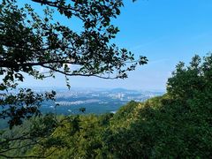 -紫金山山顶公园