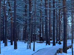-北极村旅游风景区