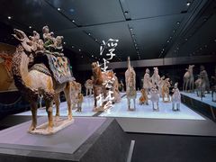 -陕西历史博物馆