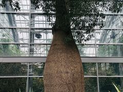 -南山植物园