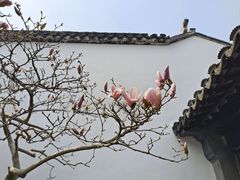 -耦园