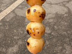 -奈良公园