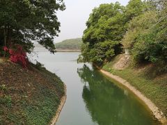 -红花湖景区