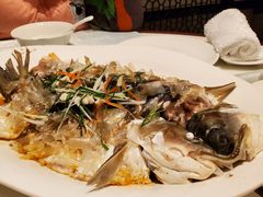 -桃源咖啡厅(武夷山大红袍山庄店)