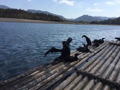 -楠溪江风景名胜区