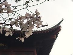 -堤角公园