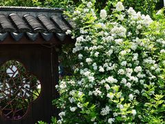 -兴福老面馆(寺路街店)