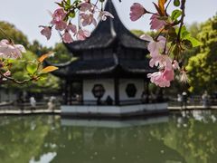 -西园寺