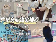 -lincat·猫舍(广州店)
