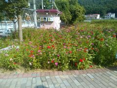 -红山村