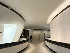 -扎耶德国家博物馆