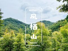-凤栖山