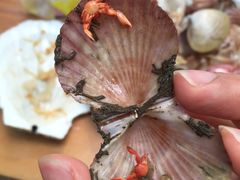 -睿柏云酒店-餐厅