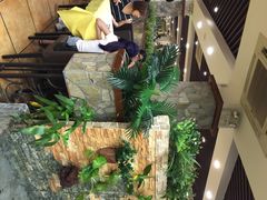 iphone_upload_pic-石头咕(葵蓬店)