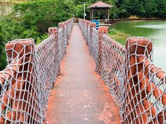 -广州白江湖森林公园