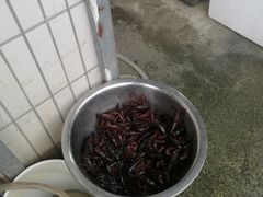 -陈家镇裕安农贸市场