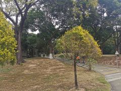 -紫马岭公园