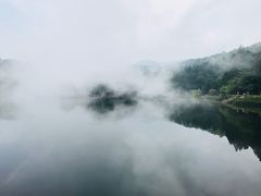 -庐山风景区花径公园