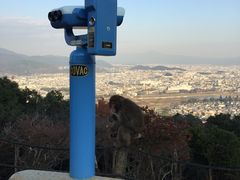 -岚山猴子公园