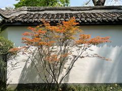 -成都杜甫草堂博物馆