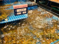 -海月轩海鲜豆捞(紫金塔店)