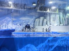 -石家庄市动物园