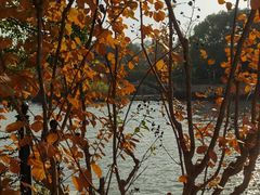 -苏州河梦清园环保主题公园