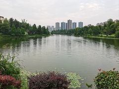 -东岳体育公园